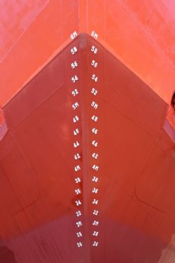 n30839202581823395n.jpg